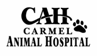 Carmel Animal Hospital  |  Veterinary Services, Putnam County, NY